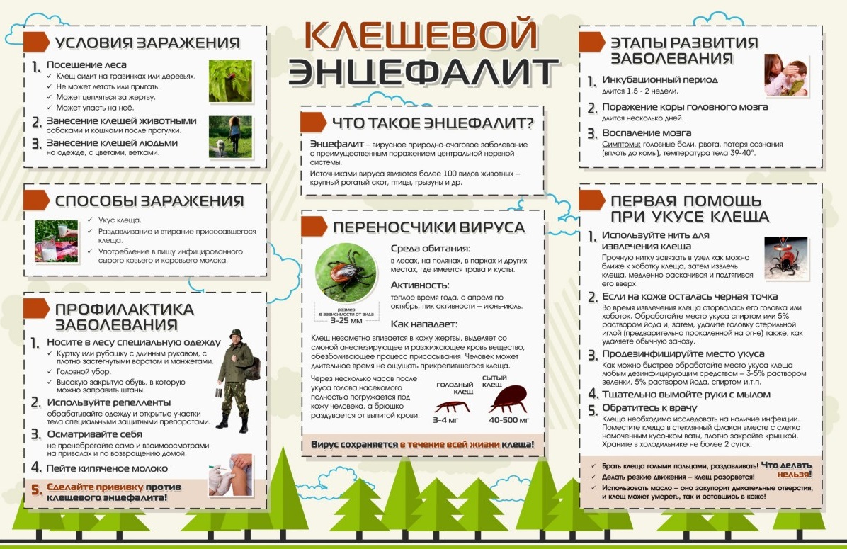 "Осторожно! Клещи!".